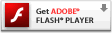 点击从官网下载Adobe公司Flash Player插件